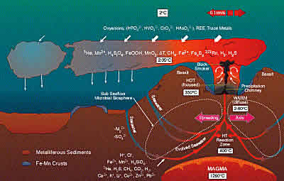 diagram of hydrothermal plume circulation, click for full size