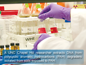 A UNC Chapel Hill researcher extracts DNA from polycyclic aromatic hydrocarbons (PAH) degraders isolated from soils exposed to PAH.