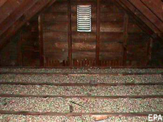 Photograph of an attic containing vermiculite insulation