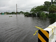 Flooded Park in Melbourne, Florida