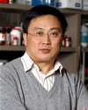 Laiji Ma, Ph.D.