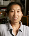 Xuying Zhang, Ph.D.