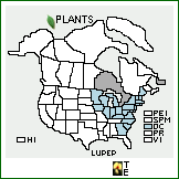 Distribution of Lupinus perennis L. ssp. perennis. . 