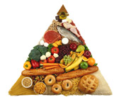 pyramid of food