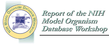 Report of the NIH Model Organism Database Workshop