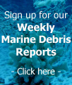 Link to Sign up for Weekly report