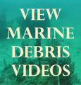 View Marine Debris Videos link