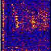 tremor spectrogram, click to listen
