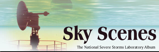 sky scenes banner