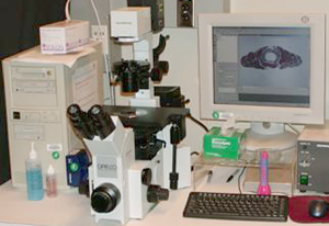 Olympus inverted microscope