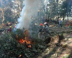 Treatments to limit the spread of sudden oak death in Oregon include the removal of infected and susceptible hosts in areas of detection.