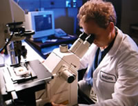 Dr. Gary Bird operates one of the confocal microscopes