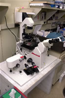 Image of Microinjector Scope #1