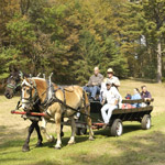 Two horses, one dark brown and one tan, pull a wagon through a sunny meadow. Aboard a park ranger chats with the driver and families. Photo by Jon Gilbert Fox.