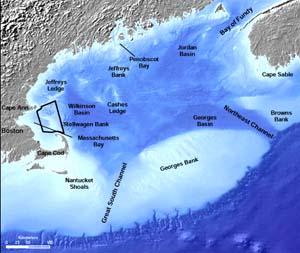 NOAA image of major features of the Gulf of Maine.