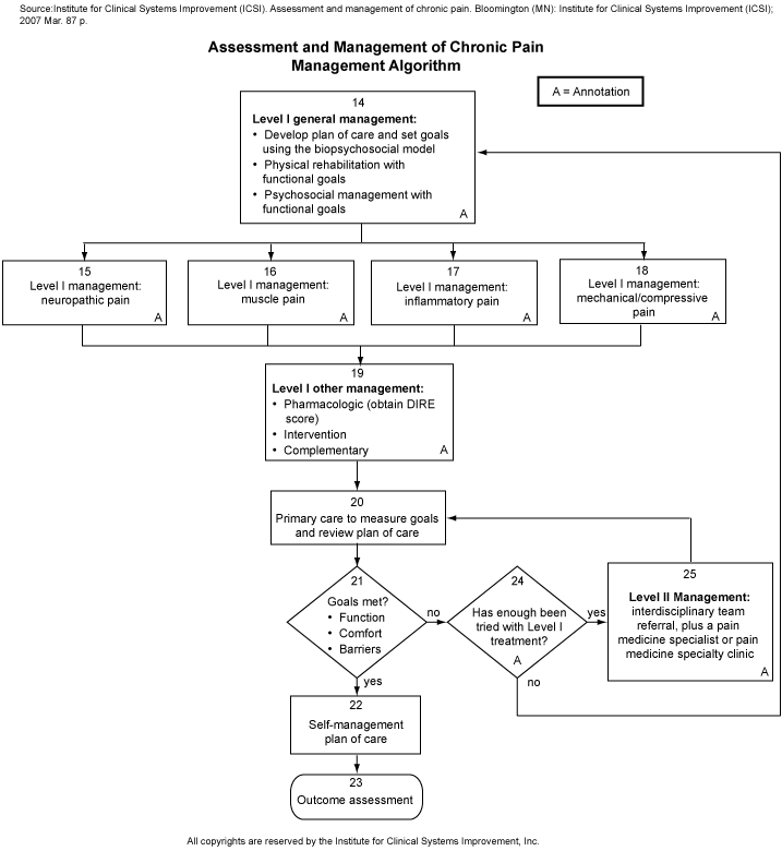 Assessment and Management of Chronic Pain. Management Algorithm.