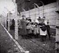 Footage taken after Soviet troops entered Auschwitz