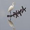 Noxubee National Wildlife Refuge Photo