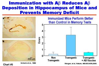 Immunization with AD Reduces Deposition in Hippocampus of Mice and Prevents Memory Deficit