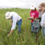 Scientists monitor plants in the tallgrass prairie.