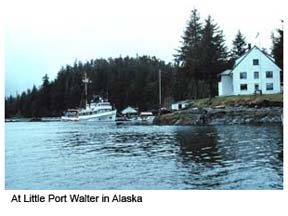 Cobb docked at Little Port Walter