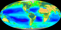 Global distribution of chlorophyll. 