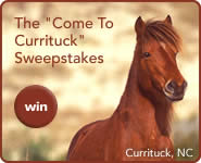 Come To Currituck Sweepstakes