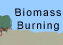 biomass burning