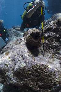 A NOAA archaeologist measures the bore to a small cannon on the Gledstanes shipwreck. Credit-Tane Casserley/NOAA.