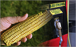 Photo of a hand holding an ear of corn next to an E85 pump.
