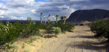 The primitive River Road provides access to the interior of the Big Bend