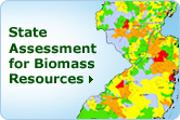 Go to the State Assessment for Biomass Resources Tool