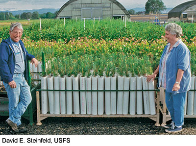 "Tall pot" stock types, shown here at a nursery, can help revegetate difficult sites. They are grown in modified PVC pipe containers and develop vigorous root systems.