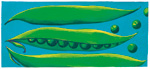 illustration: peapods and peas