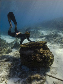 Hoku dives down to take a closer look at one of the trypots on the Pearl site.