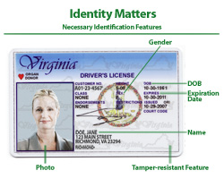 Photo of fake Virginia Driver's License