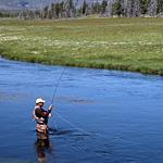Man flyfishing on a beautiful stretch of river.