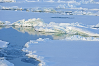 Arctic Ocean ice floes.