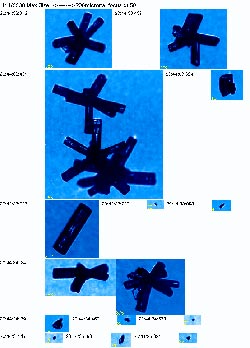 Images from the cloud particle imager instrument on April 2, 2008, show ice crystals in various shapes and sizes. Image courtesy of SPEC, Inc.