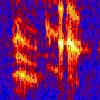 spac blue whale call spectrogram
