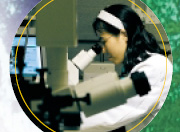 Photo of a scientist looking into a microscope