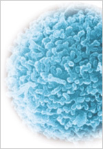 Photograph of macrophages