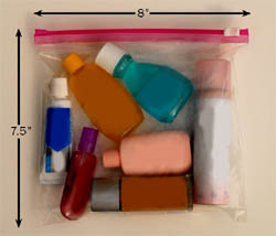 Photo of a quart-size baggie, with 3oz liquid bottles.
