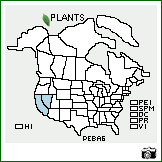 Distribution of Penstemon barnebyi N.H. Holmgren. . Image Available. 