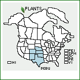 Distribution of Penstemon buckleyi Pennell. . 