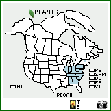 Distribution of Penstemon canescens (Britton) Britton. . Image Available. 