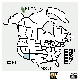 Distribution of Penstemon clutei A. Nelson. . Image Available. 