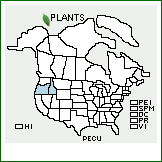 Distribution of Penstemon cusickii A. Gray. . 