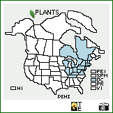 Distribution of Penstemon hirsutus (L.) Willd.. . Image Available. 