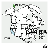 Distribution of Penstemon incertus Brandegee. . Image Available. 